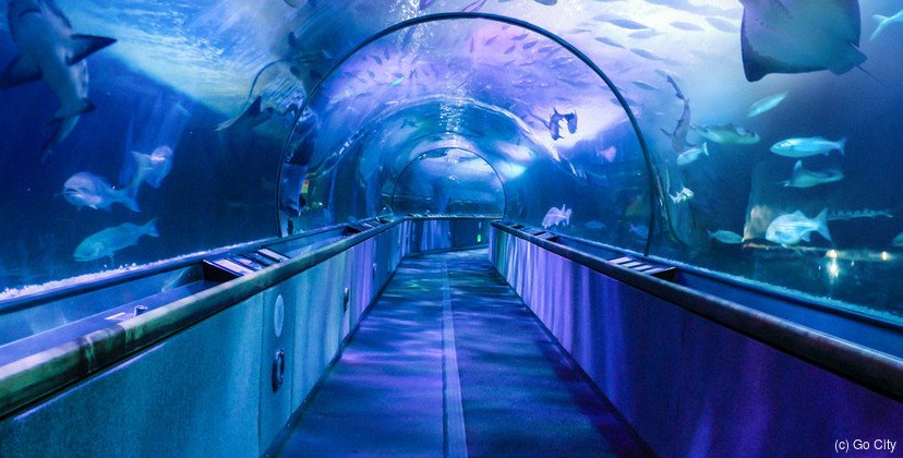 Go San Francisco All-Inclusive Pass, 5 days