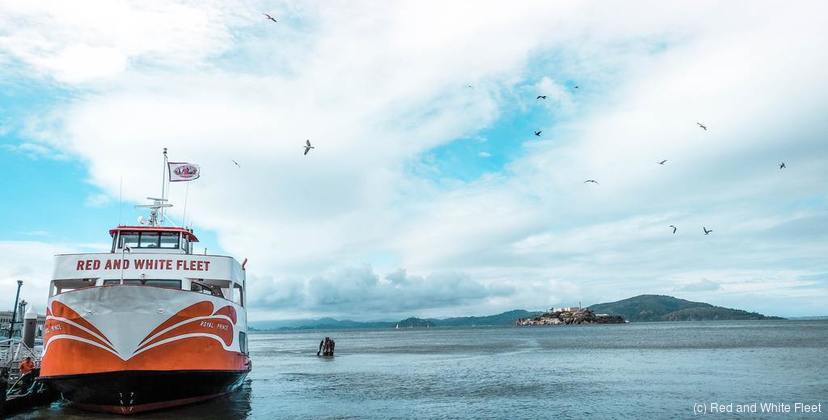 Golden Gate Bay Cruise